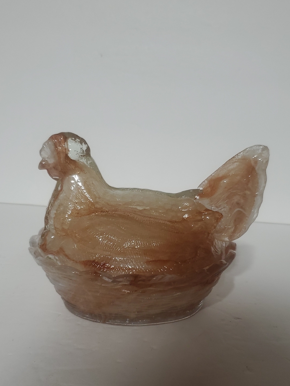 Amber Swirl Hen On Nest